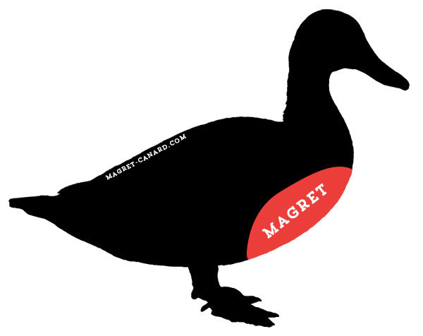 Position du magret sur un canard